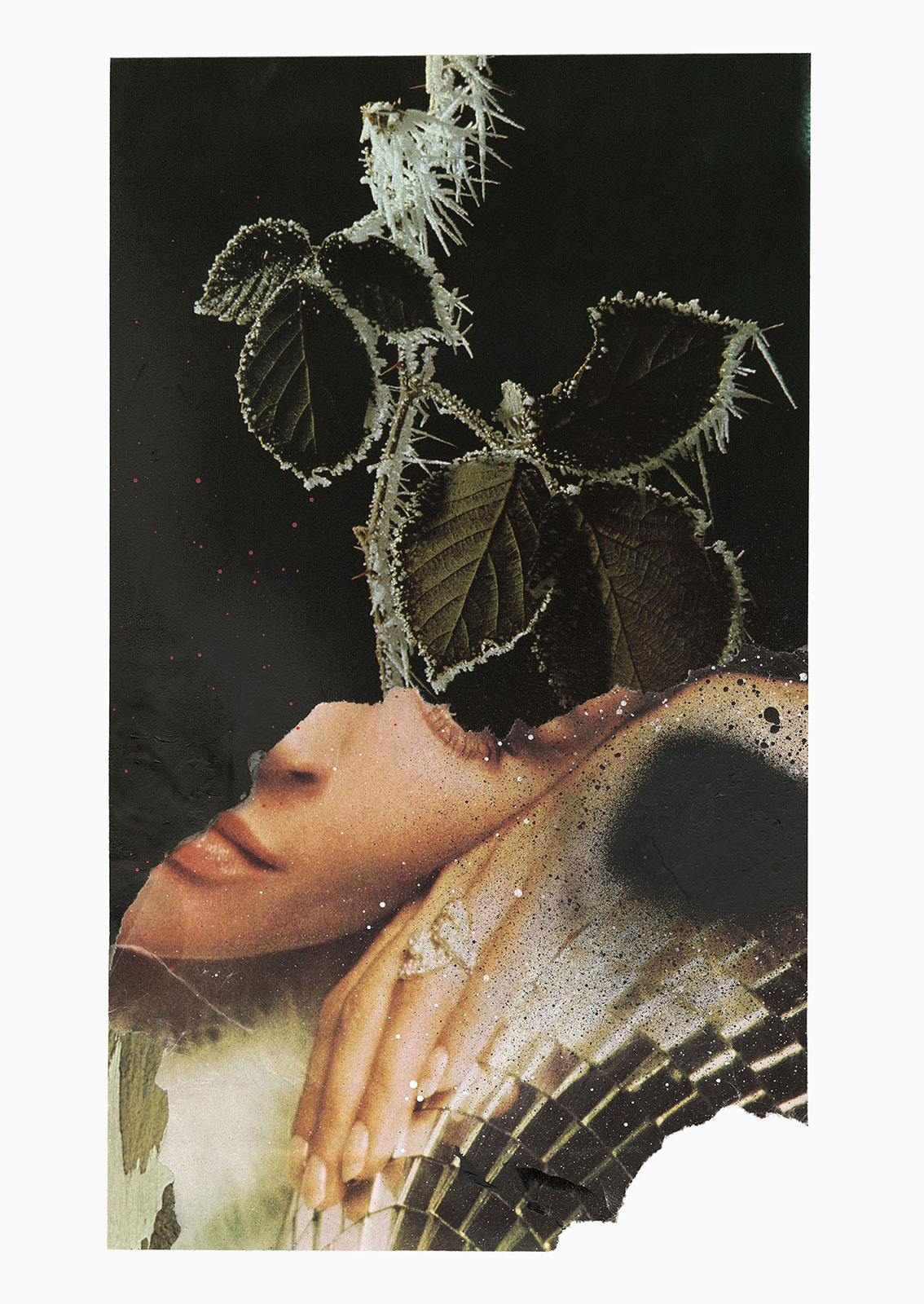 Poison Black ( medusa’s lament  
(25,5 cm x 36 cm), collage, acrylic on paper, 2018 