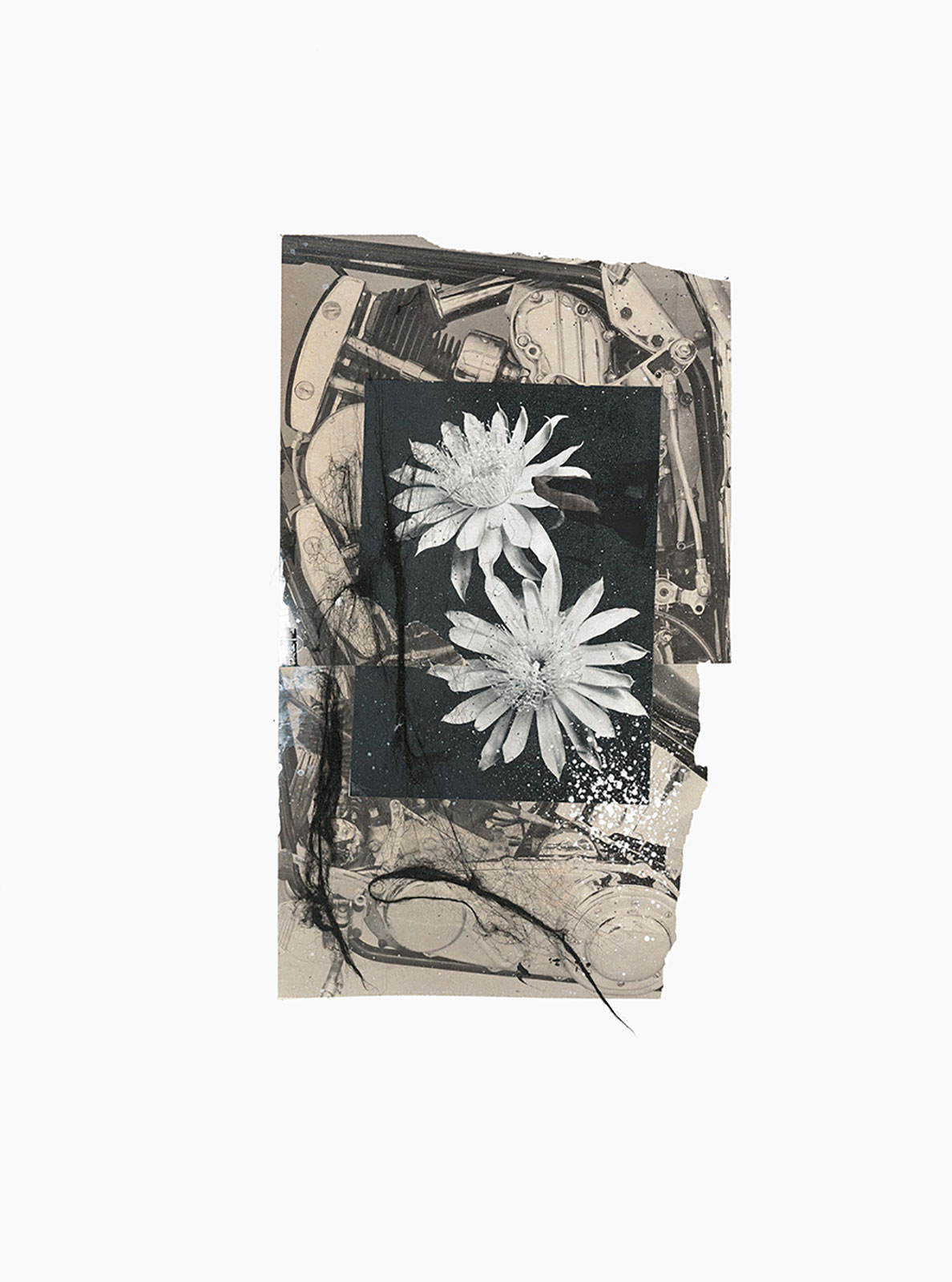 Gutter Magik series
(30,5 cm x 41 cm), acrylic, tainted cotton, collage on paper, 2015 