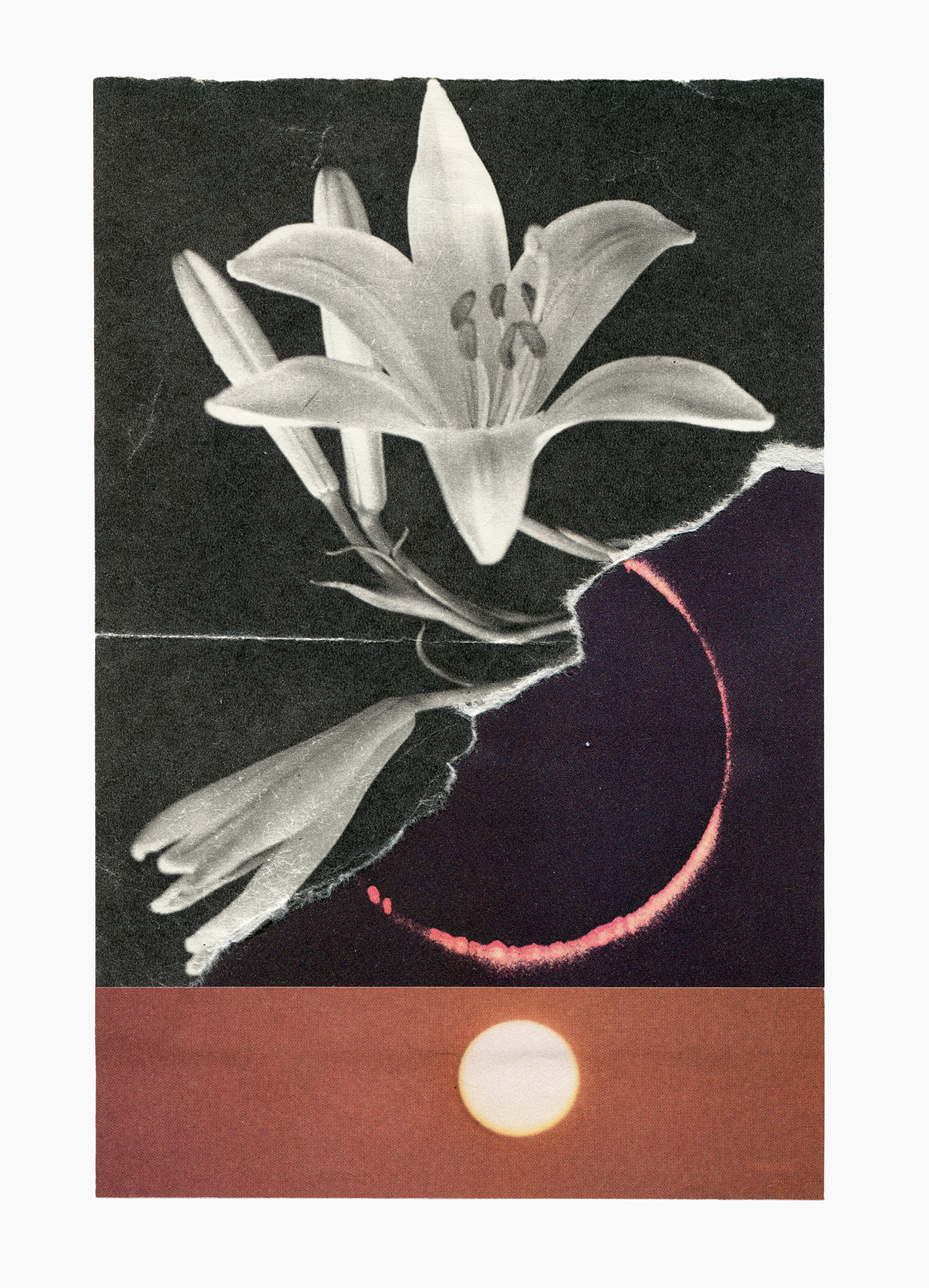 Spell Rider series
(15 cm x 21 cm), collage on paper, 2023 