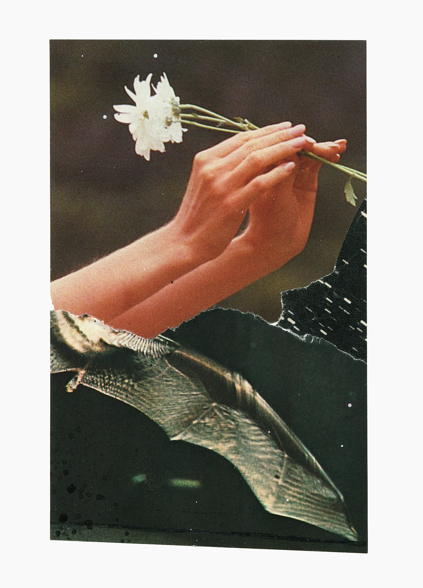 Spell Rider series
(15 cm x 21 cm), collage, acrylic on paper, 2023 