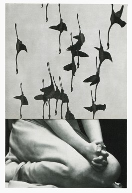 Altar Bodies series
(15 cm x 22 cm), collage on paper, 2025 