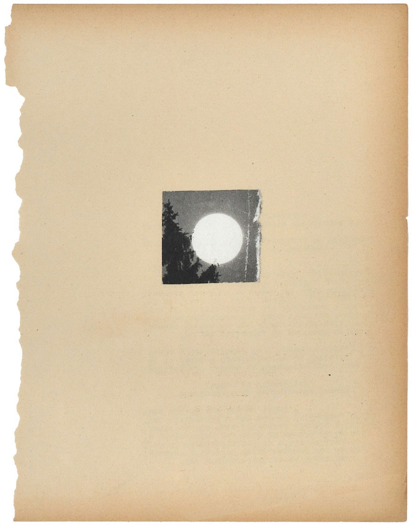 Goddess Fuzz Fantasy series
(32,5 cm x 41 cm), collage on paper, 2011 