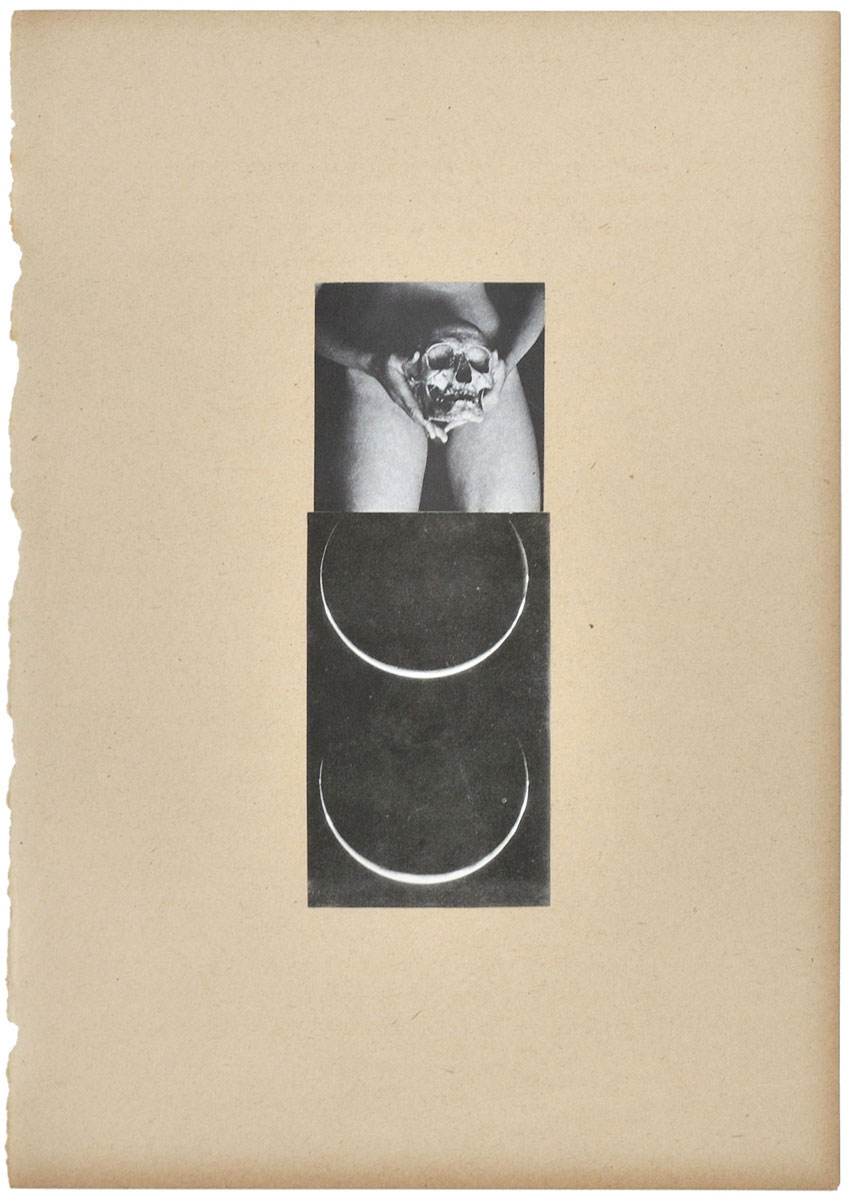 Goddess Fuzz Fantasy series
(32,5 cm x 41 cm), collage on paper, 2011 