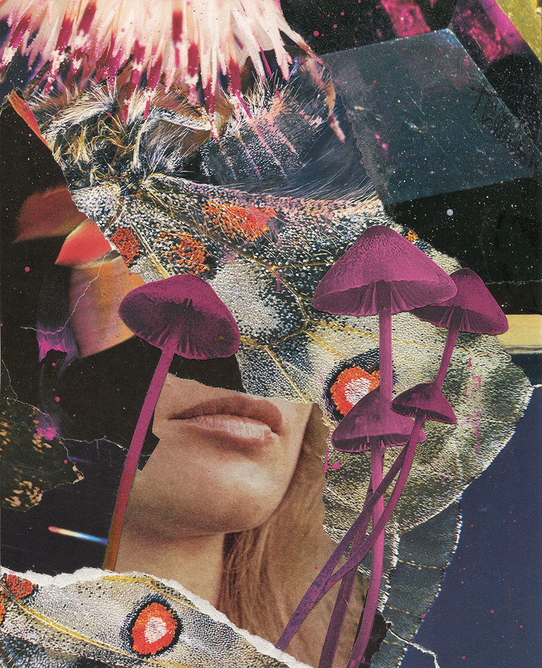 Les Inrockuptibles 
2021 