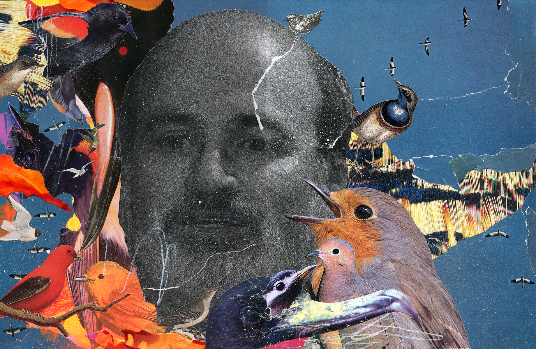 Terrence Malick for So Film
2017 