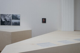 L'Homme Gris
installation view, Casino Luxembourg, Luxembourg, 2020 